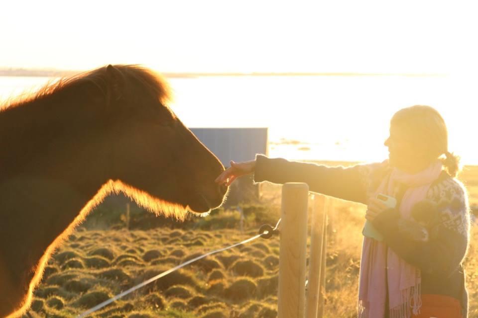 Esjan Villa Kjalarnes Buitenkant foto